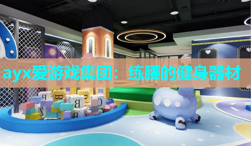 ayx爱游戏集团：练腰的健身器材