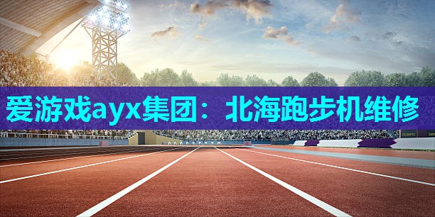 爱游戏ayx集团：北海跑步机维修
