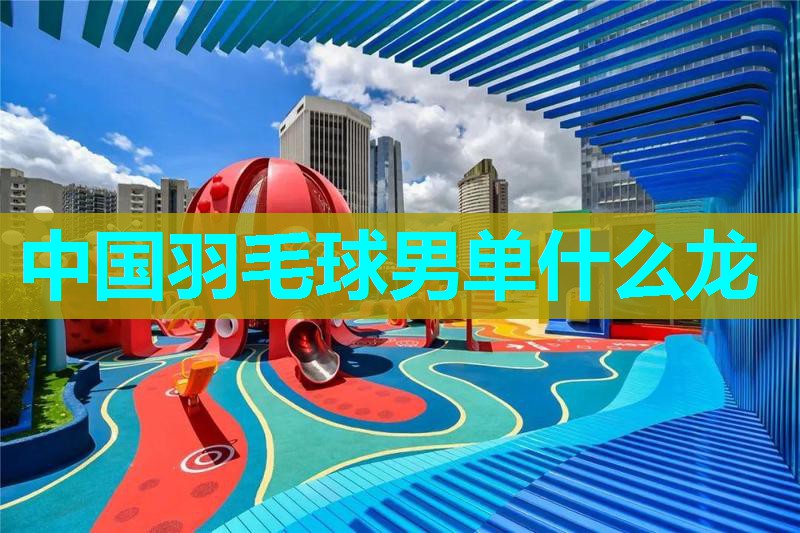 中国羽毛球男单什么龙