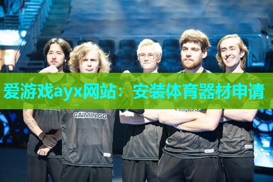 爱游戏ayx网站：安装体育器材申请