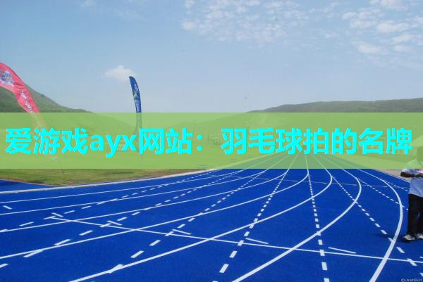 爱游戏ayx网站：羽毛球拍的名牌