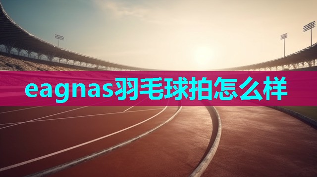 eagnas羽毛球拍怎么样