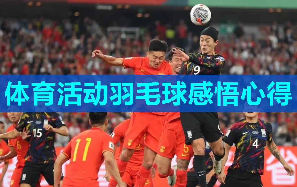 体育活动羽毛球感悟心得