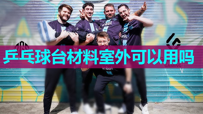 乒乓球台材料室外可以用吗