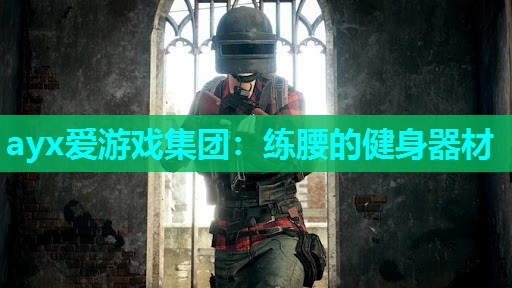 练腰的健身器材