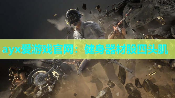 健身器材股四头肌