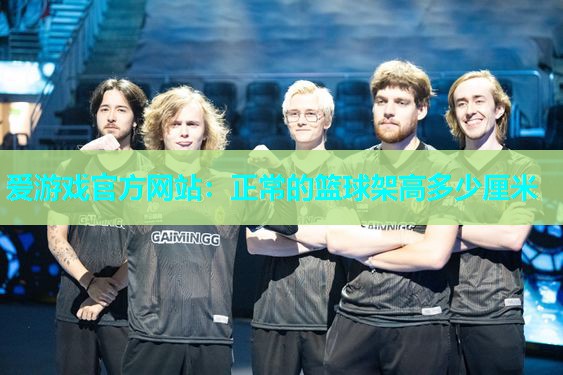正常的篮球架高多少厘米