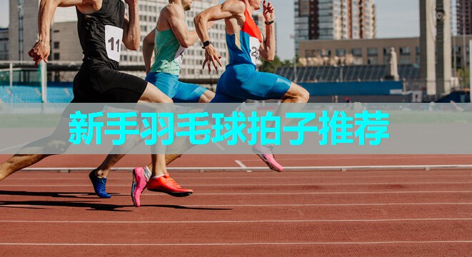 新手羽毛球拍子推荐