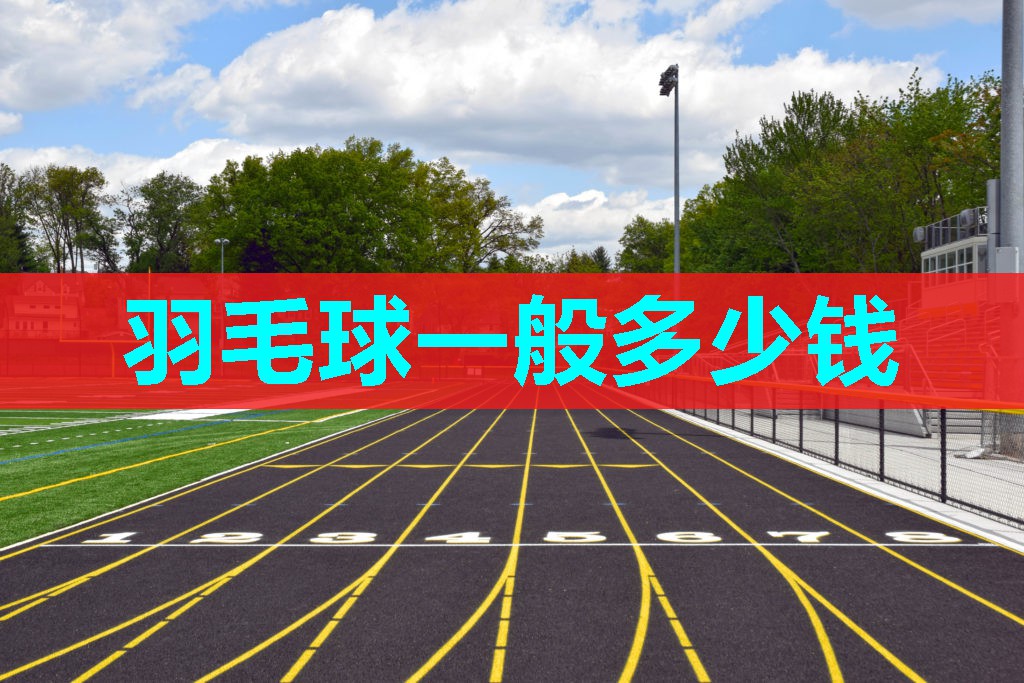 羽毛球一般多少钱