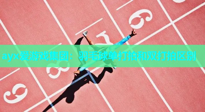 羽毛球单打拍和双打拍区别