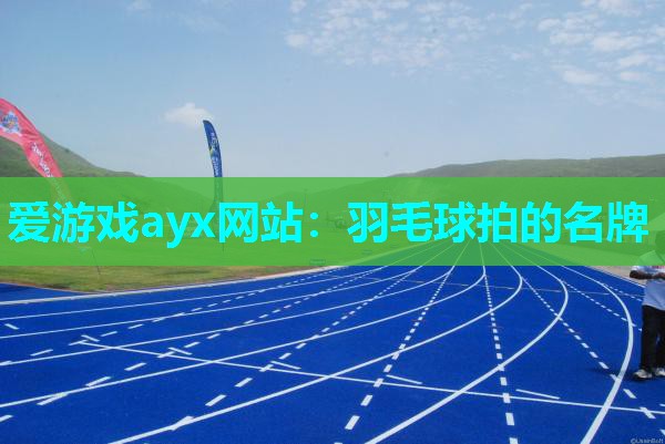 羽毛球拍的名牌