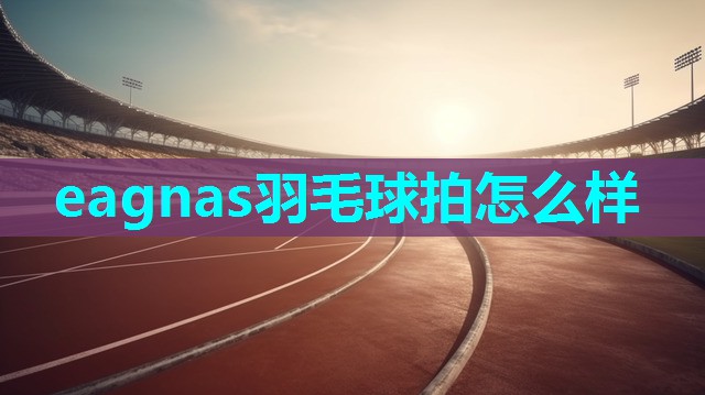 eagnas羽毛球拍怎么样