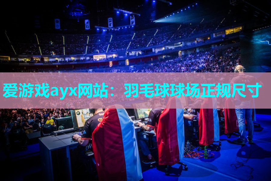 羽毛球球场正规尺寸