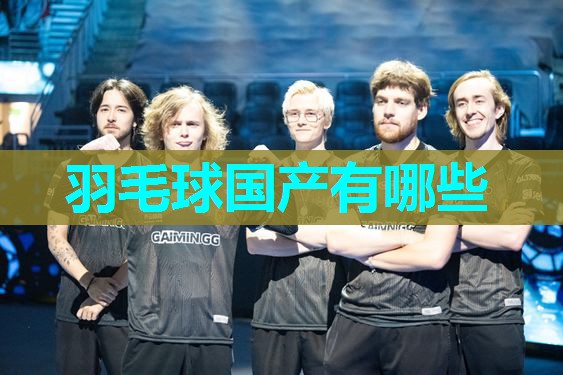 羽毛球国产有哪些