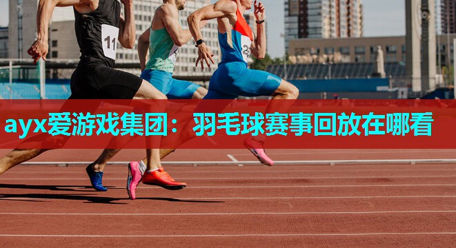 羽毛球赛事回放在哪看