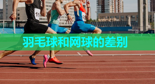 羽毛球和网球的差别