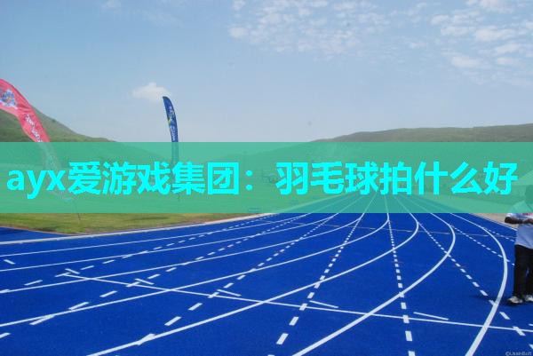 羽毛球拍什么好