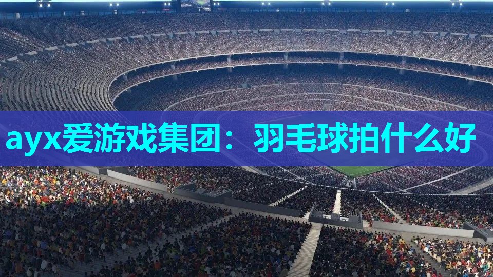羽毛球拍什么好